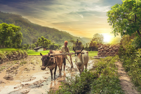 E-Insurance Services for Rural India: Challenges & Opportunities