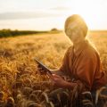 PM Fasal Bima Yojana vs Traditional Crop Insurance Schemes: Key Differences for Indian Farmers