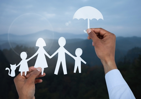 Alternative Financial Safeguards for Families